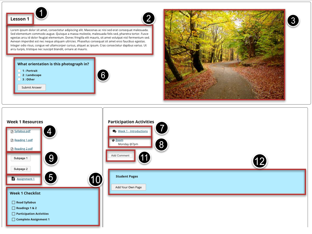 Screenshot of a Lesson page with several items, links, and elements embedded.