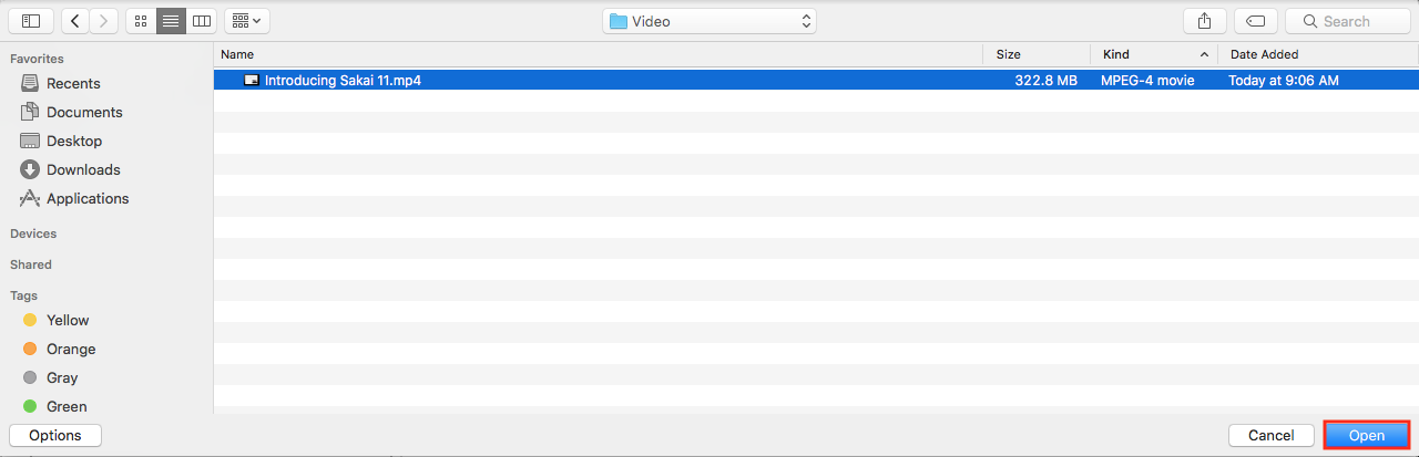Screenshot of the file browser with the desired video selected and the open button highlighted.