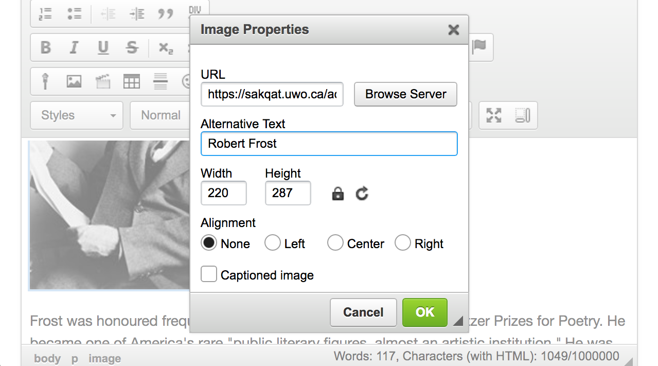 Screenshot of the image properties pop-up. (Optional)