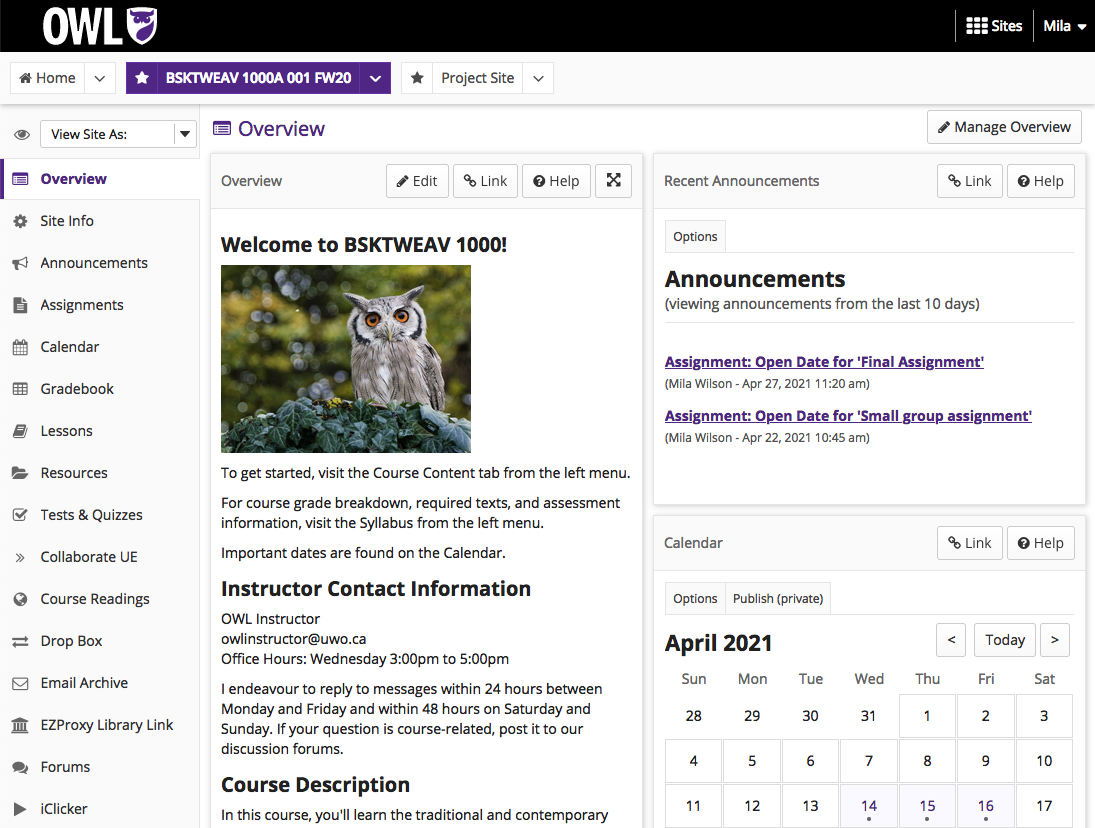 Screenshot of OWL user interface