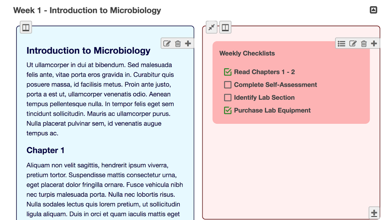 Screenshot of the new checklists element in the Lesson builder.