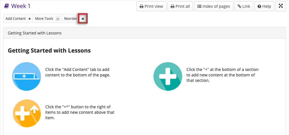 Screenshot of a Lesson Page with the settings icon, shaped like a gear, is highlighted.