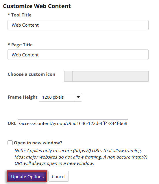 Customize Web Content page with the update options button highlighted