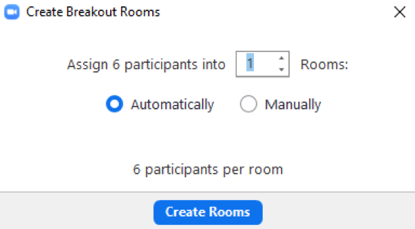 Organize the Breakout Rooms