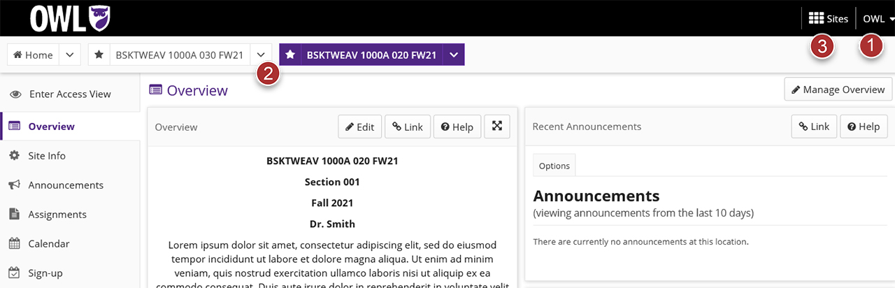 Screenshot of the OWL portal with red boxes highlight different navigation elements on the page. 1. Account Menu on the top right. 2. The Sites Navigation Bar on the top of the page. 3. Tools list on the left side of the page. 4. View site as on the top left of the page.