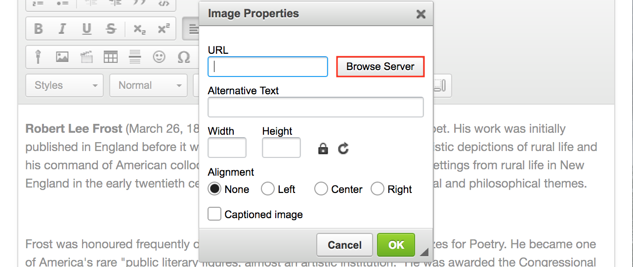 Screenshot of the image properties pop-up with the Browse Server button highlighted.